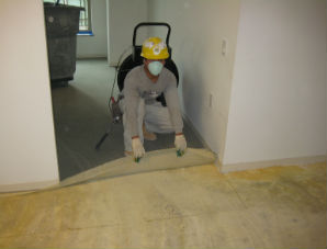 Master Service Pro wet carpet removing