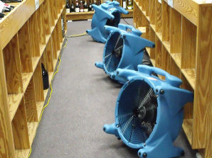 MSP Flood Assistance