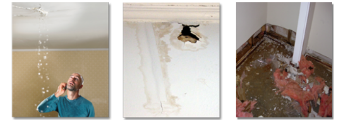 Master Service Pro Mold Inspection and Detection