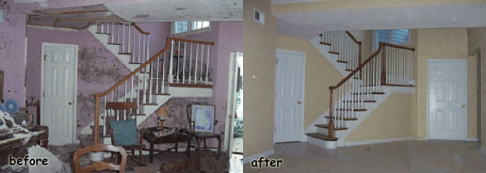 Master Service Pro Mold Remediation