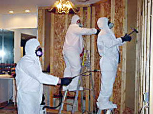 MSP Mold Remediatiors