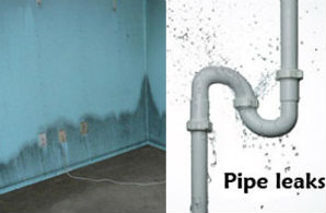 Master Service Pro Pipe leaking