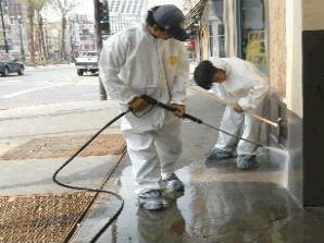 MSP Commercial Carpet Cleaning