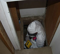 MSP Deck Mold Inspection