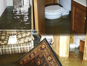 Master Service Pro Sewage Backup Cleaning