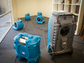 Master Service Pro Carpet Drying