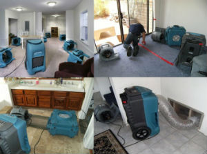 MSP Water Damage Restoration