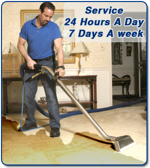 MSP Carpet Water Extraction