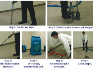 Master Service pro Water extraction