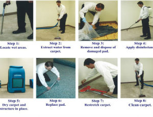 Master Service pro Water extraction